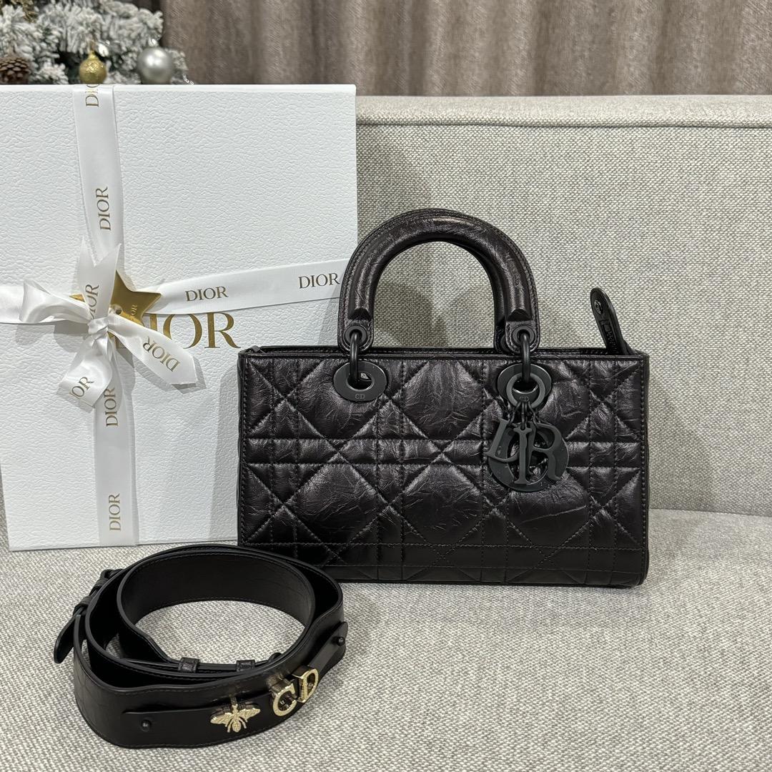 Lady D-Sire My ABCDior Bag