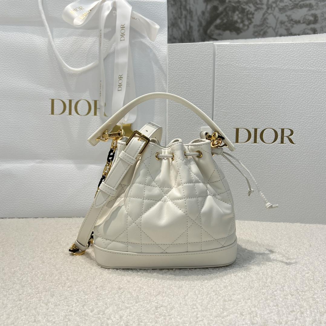 C'est Dior Bag