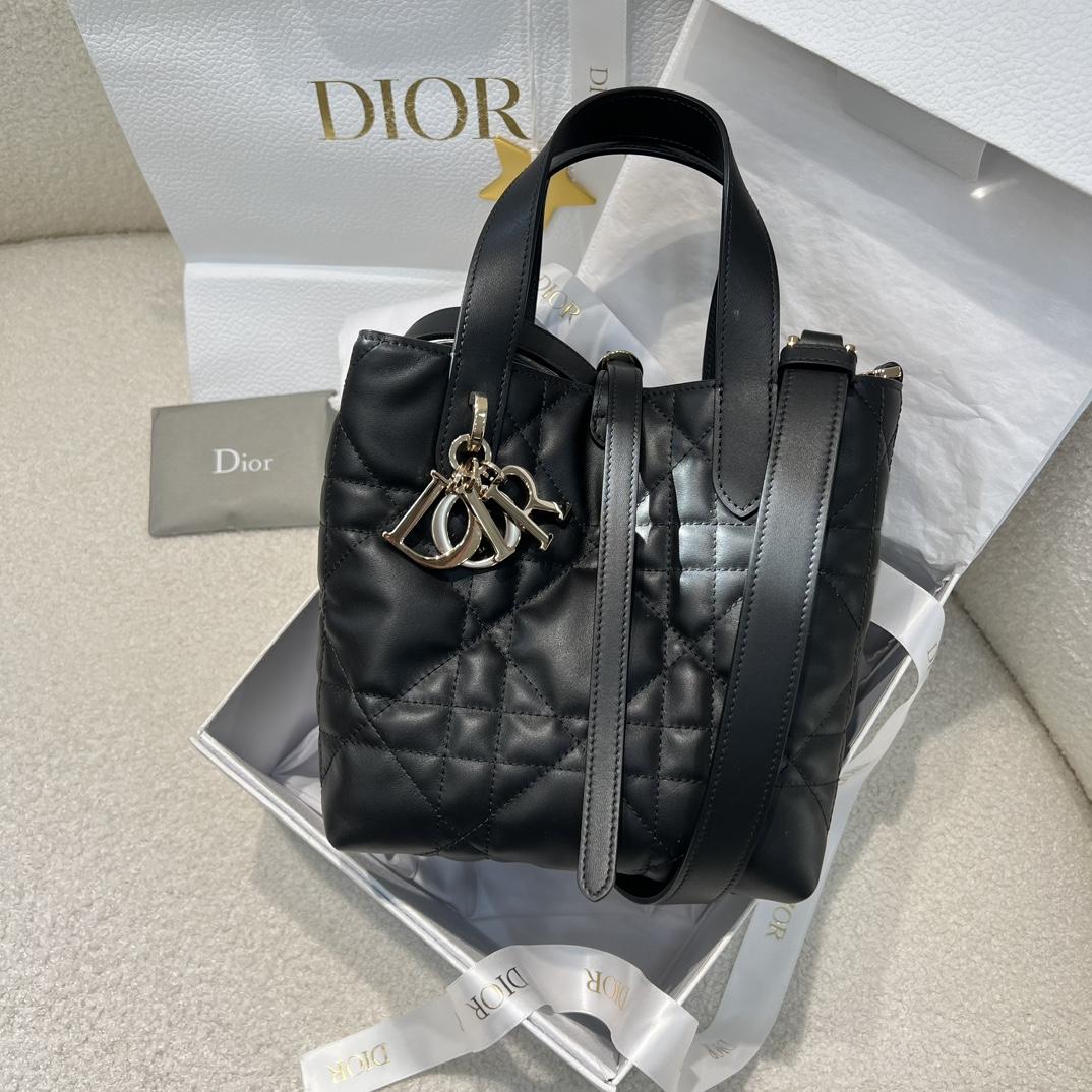 Dior Toujours Vertical Tote Bag