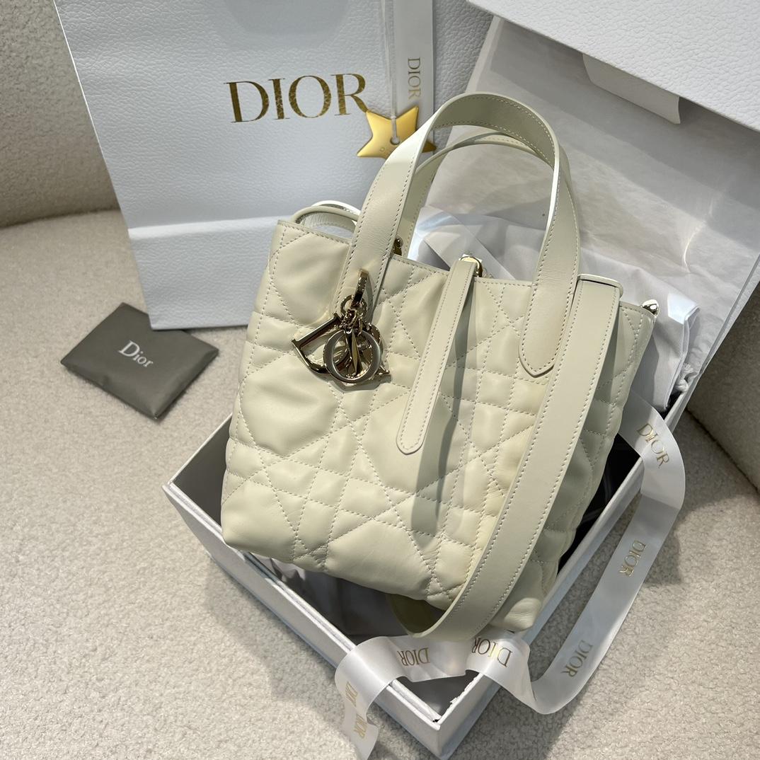 Dior Toujours Vertical Tote Bag