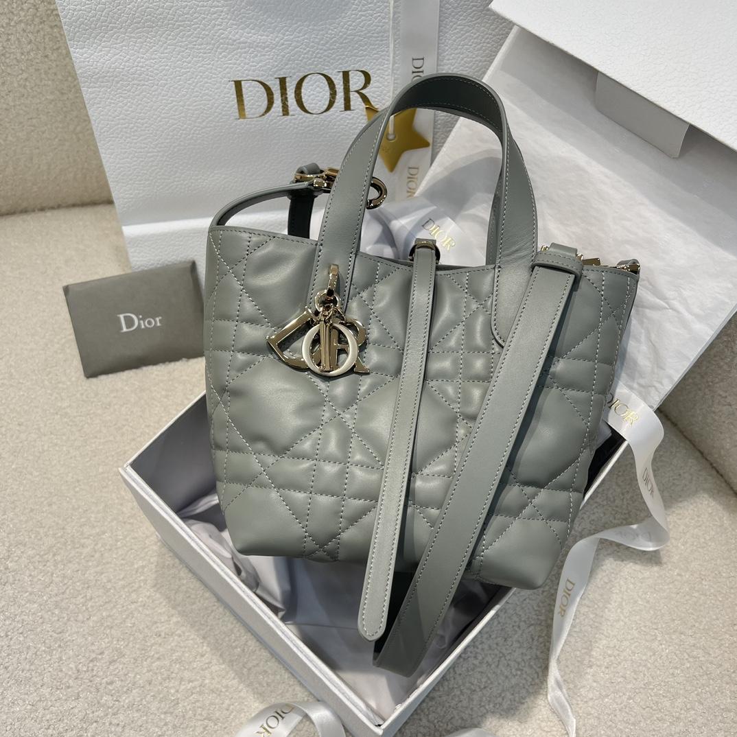 Dior Toujours Vertical Tote Bag