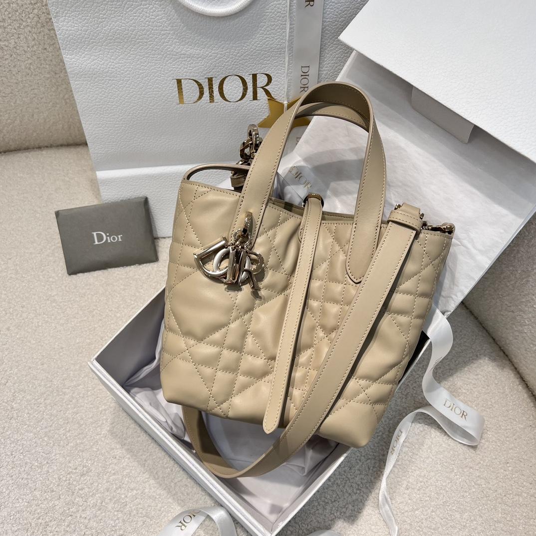 Dior Toujours Vertical Tote Bag