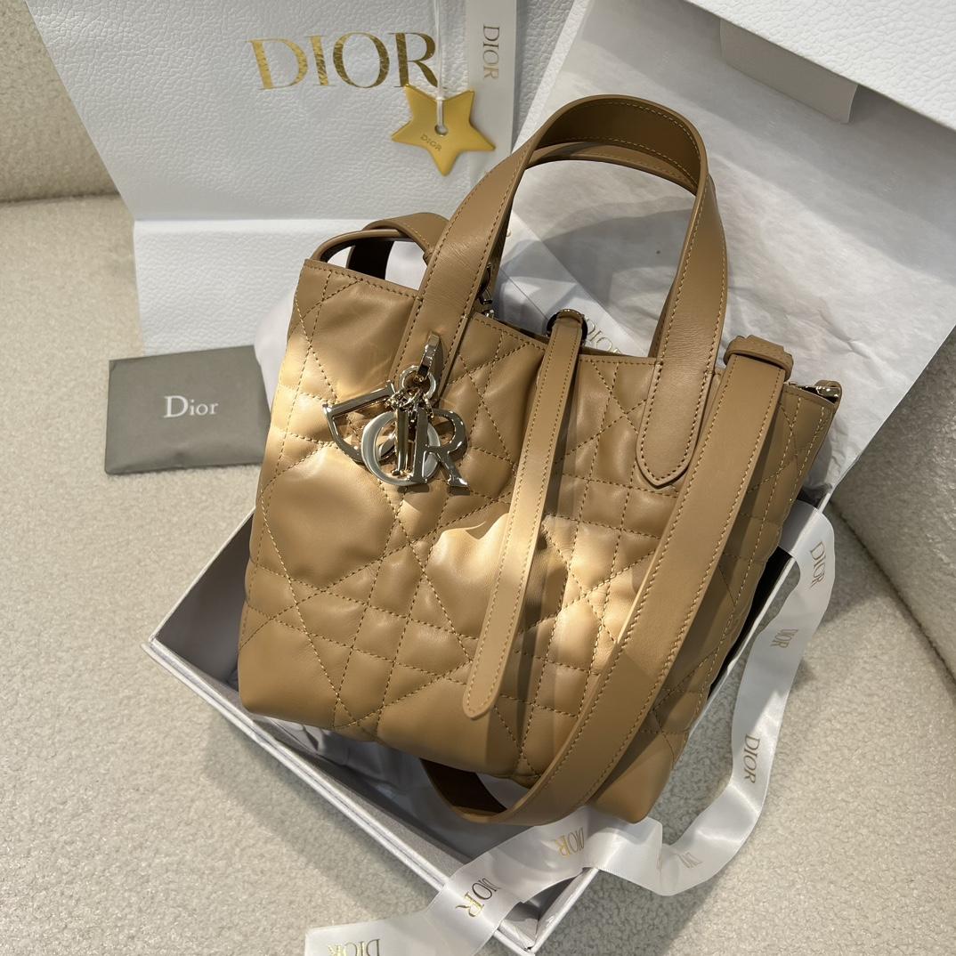Dior Toujours Vertical Tote Bag