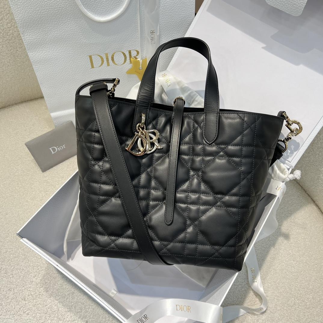 Dior Toujours Vertical Tote Bag