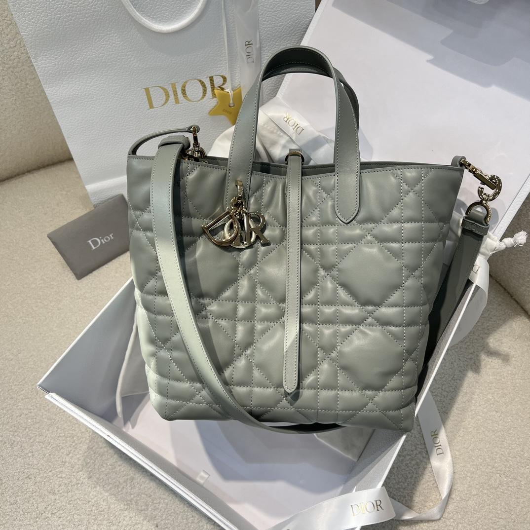 Dior Toujours Vertical Tote Bag