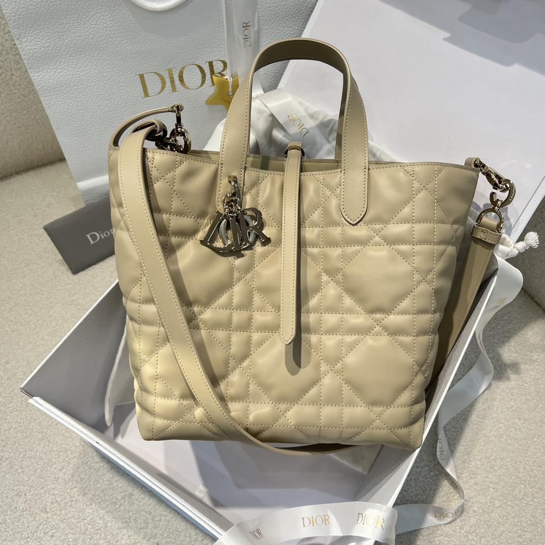 Dior Toujours Vertical Tote Bag