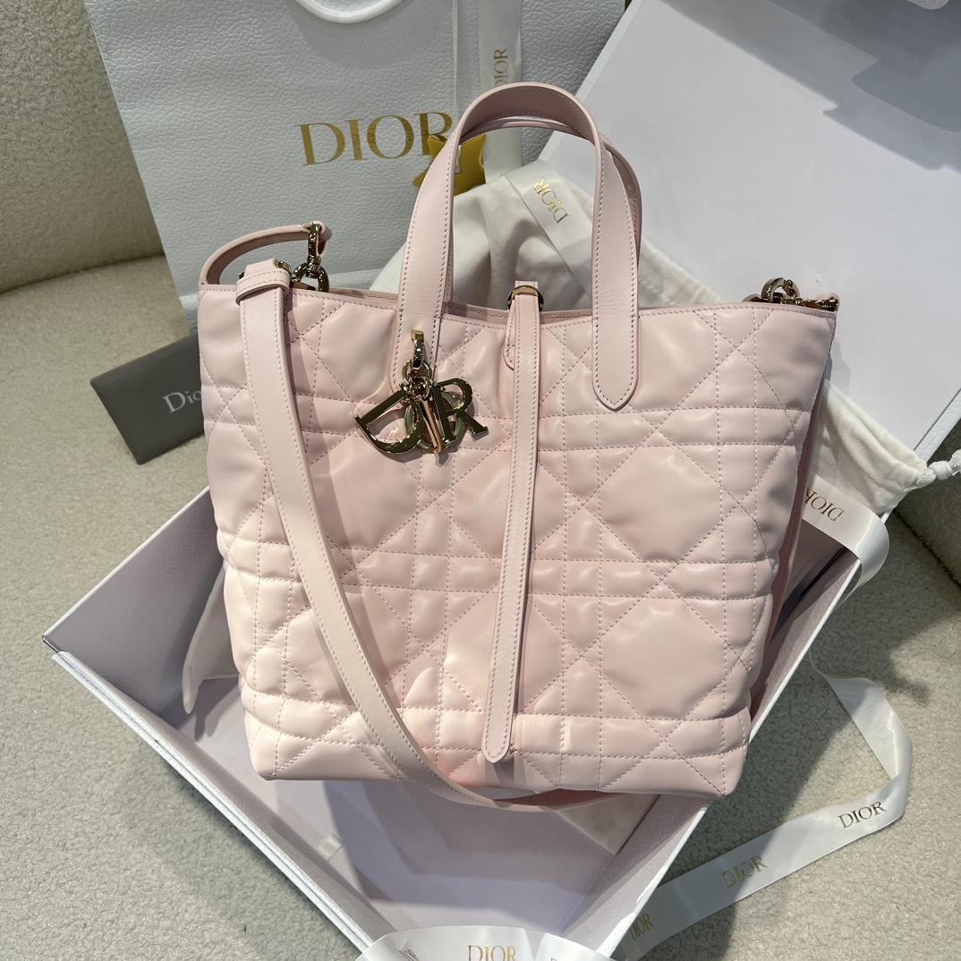 Dior Toujours Vertical Tote Bag