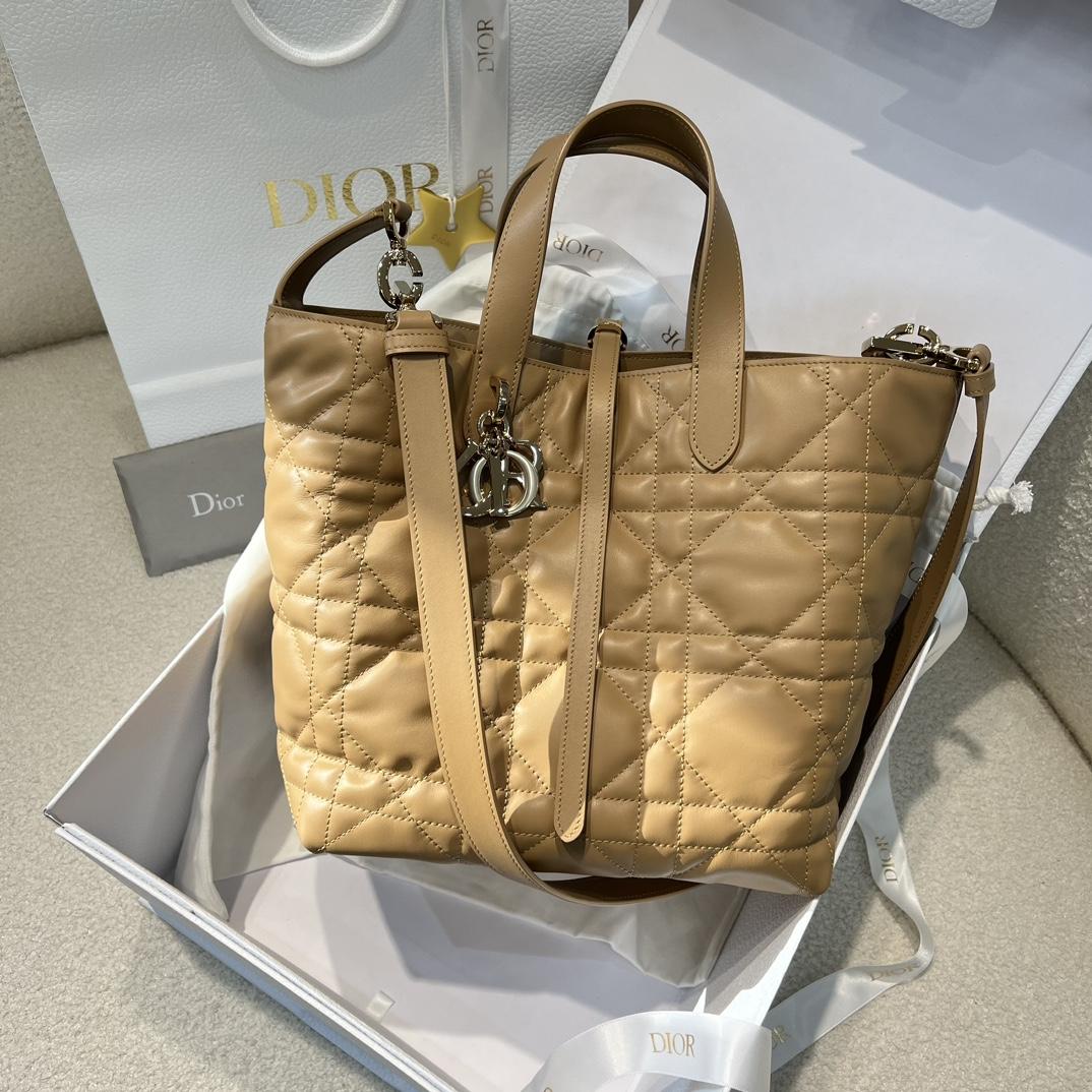 Dior Toujours Vertical Tote Bag