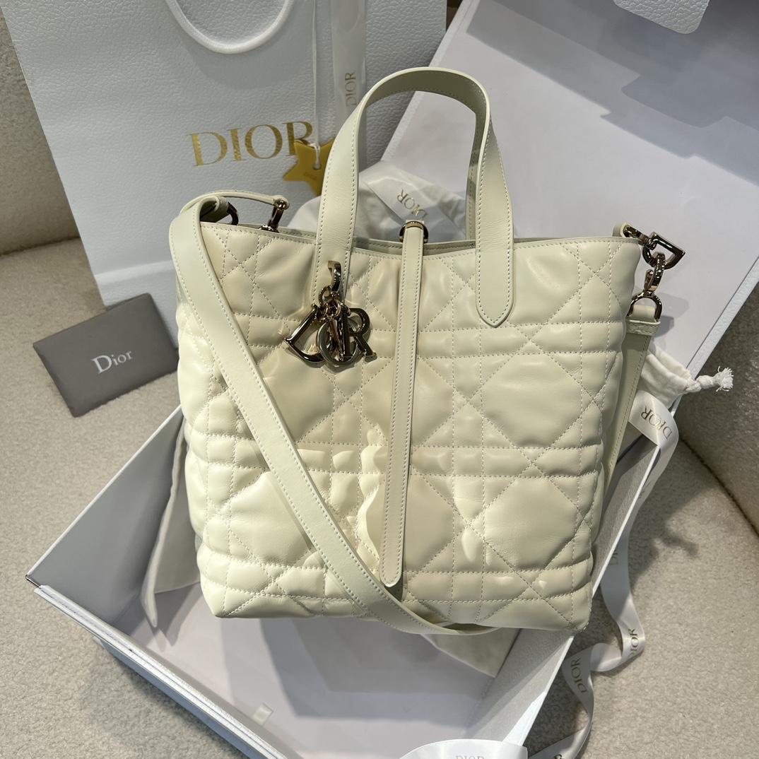 Dior Toujours Vertical Tote Bag
